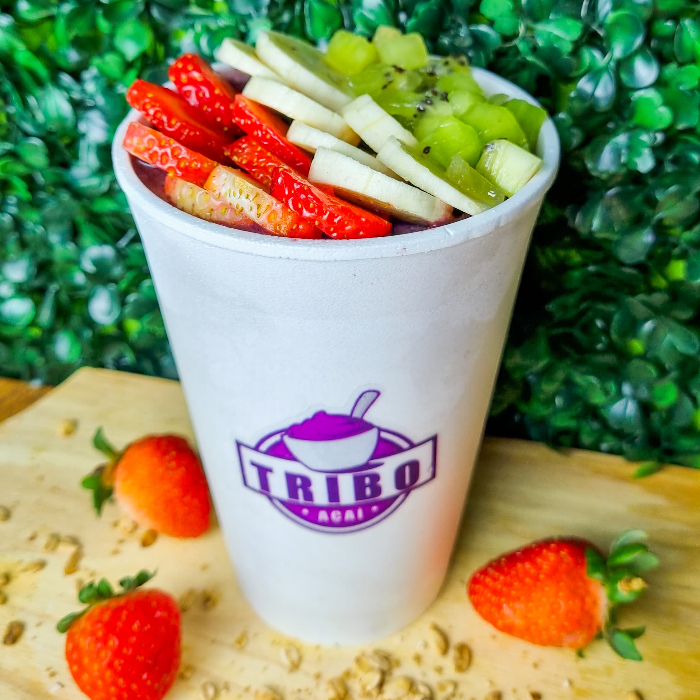 AÇAÍ 500ML PREMIUM