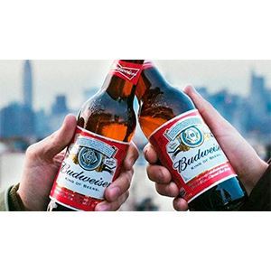 DUAS BUDWEISER LONG NECK