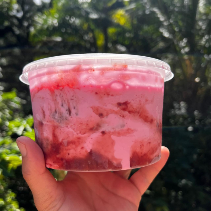 SORVETE DE MORANGO MESCLADO 1L