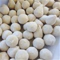 40 SALGADINHOS CONGELADOS