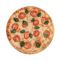 48 - MARGHERITA