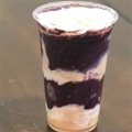 AÇAI DE 300ML(L. MOÇA E L. NINHO)