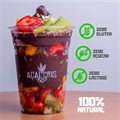 AÇAÍ ZERO AÇÚCAR 500ML