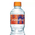 Água Mineral com Gás Minalba –510?ml