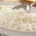 ARROZ