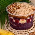 AÇAI 1 LITRO