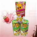 BISCOITO ORIENTAL KOALA COMPRE 2 LEVE 3