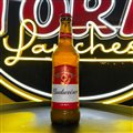 CERVEJA BUDWEISER LONG NECK 330ML