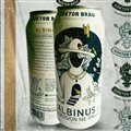 CERVEJA DOKTOR BRAU ALBINUS