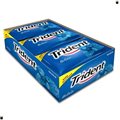CHICLETE TRIDENT HORTELA 