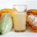 SUCO POLPA CACAU