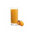 SUCO POLPA CAJA