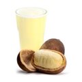 SUCO POLPA CUPUACU