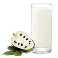 SUCO POLPA GRAVIOLA