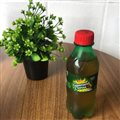 COROA GUARANA MINI