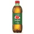 GUARANÁ ANTACTICA 600ML