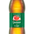 GUARANÁ ANTARTICA 1L