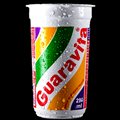 GUARAVITA NATURAL