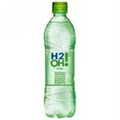H2O