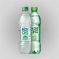 H2O