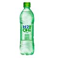 H2O