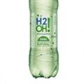 H2O