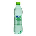 H2O