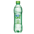 H2O