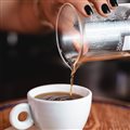 HARIO V60