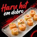 HARU HOT EM DOBRO
