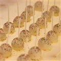 CAKE POP DE BAUNILHA