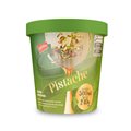 SORVETE PISTACHE 500ML - PALETITAS