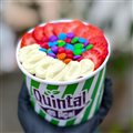 IOGURTE GREGO 300ML