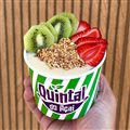 IOGURTE GREGO 500ML
