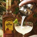 MARGARITA JOSE CUERVO