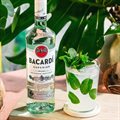 MOJITO BACARDI