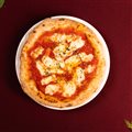 MOZZARELLA KIDS