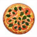 PIZZA MARGUERITA