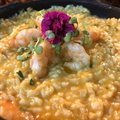 RISOTO DE CAMARAO