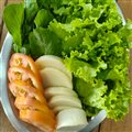 SALADA