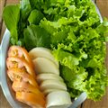 SALADA SEM PROTEÍNA