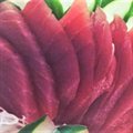 SASHIMI MAGURO (ATUM) - 08 UNIDADES:
