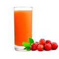SUCO DE ACEROLA 500ML