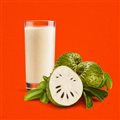 SUCO DE GRAVIOLA
