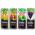 SUCO DEL VALLE