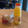 SUCO GARRAFA 300 ML