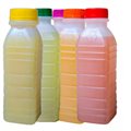 SUCO - GARRAFA 300ML
