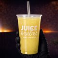 SUCOS 500ML