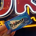 TRIDENT HORTELÃ